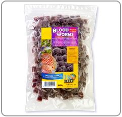 Frozen Bloodworms