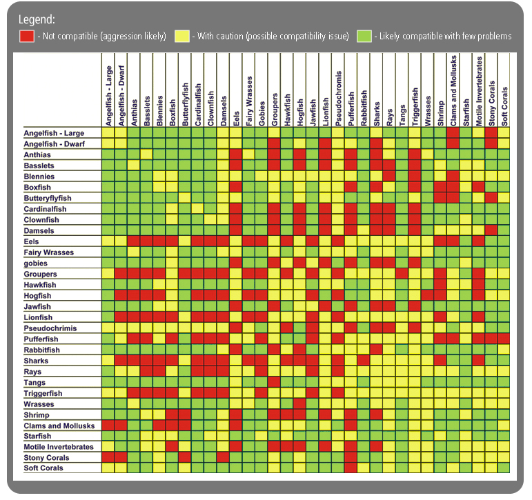 Glove Compatibility Chart Clark