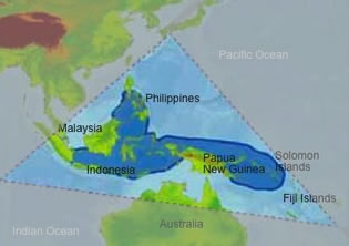 The Coral Triangle