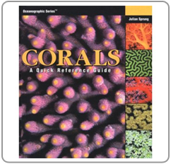Corals A Quick Reference Guide